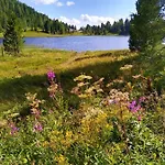 Alpenflair Mit Aussicht Zum Traeumen Appartement *