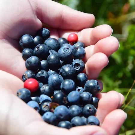 Alpenflair Mit Aussicht Zum Traeumen Apartament *