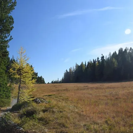 Alpenflair Mit Aussicht Zum Traeumen * Туррахер-Хёэ