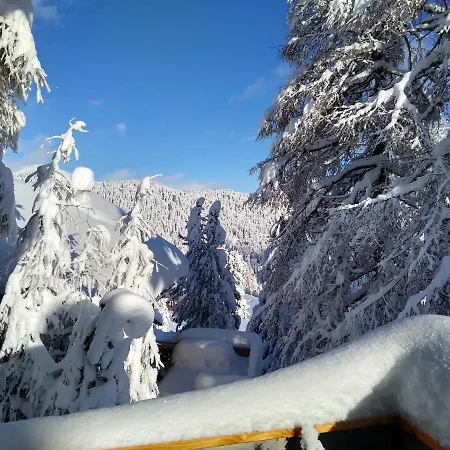 Alpenflair Mit Aussicht Zum Traeumen アパート Turracher Hohe