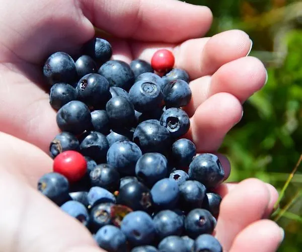 Alpenflair Mit Aussicht Zum Traeumen Apartament *