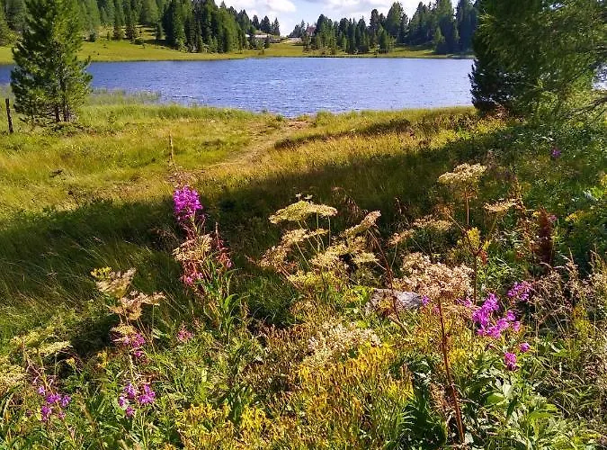 Alpenflair Mit Aussicht Zum Traeumen Apartament *