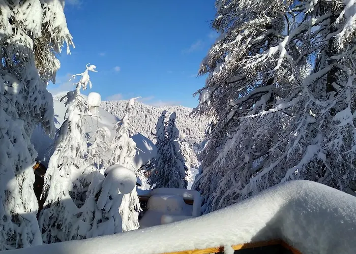 Alpenflair Mit Aussicht Zum Träumen Apartment Turracher Hohe